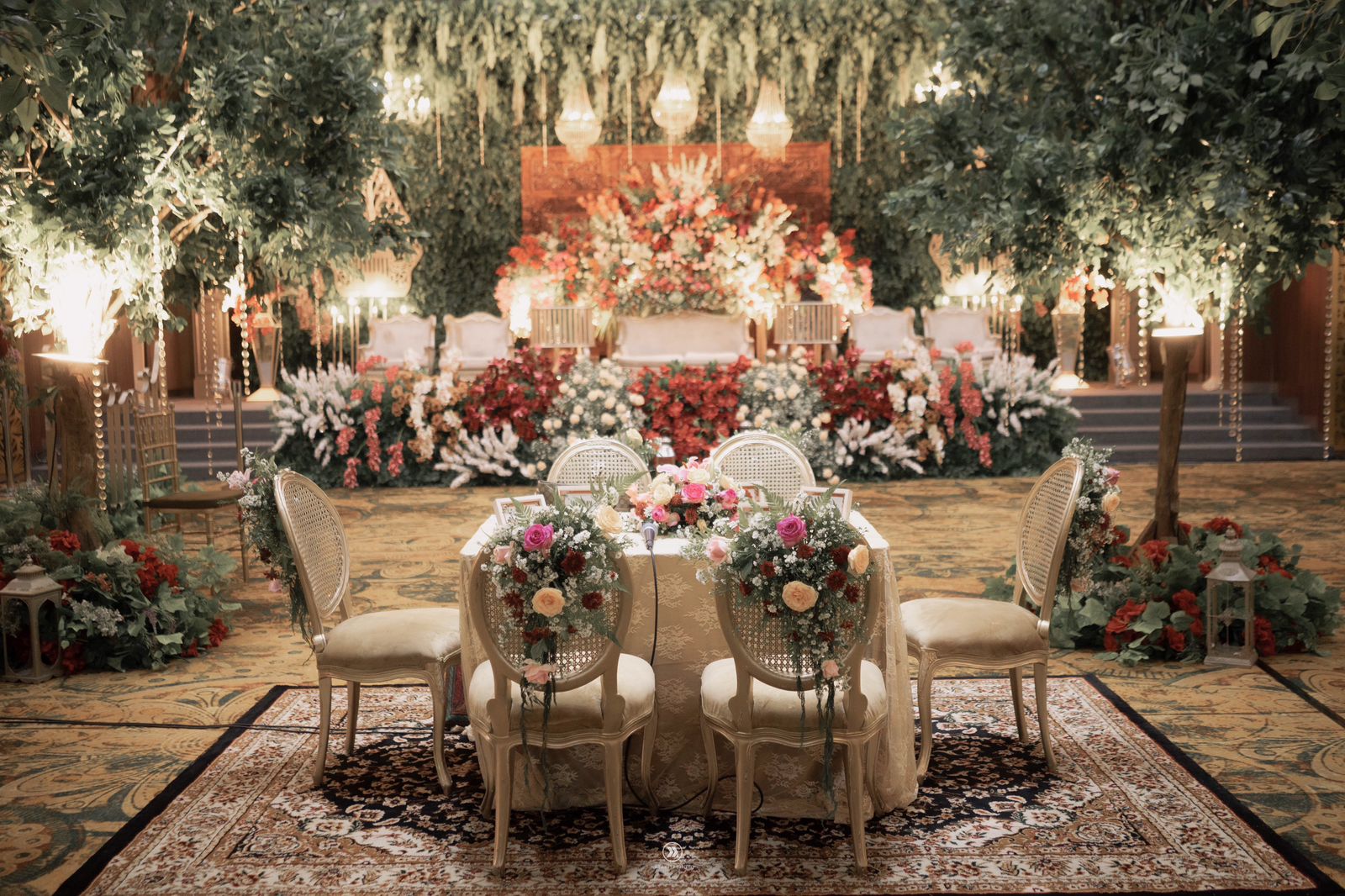 Image 1 for Velora Package